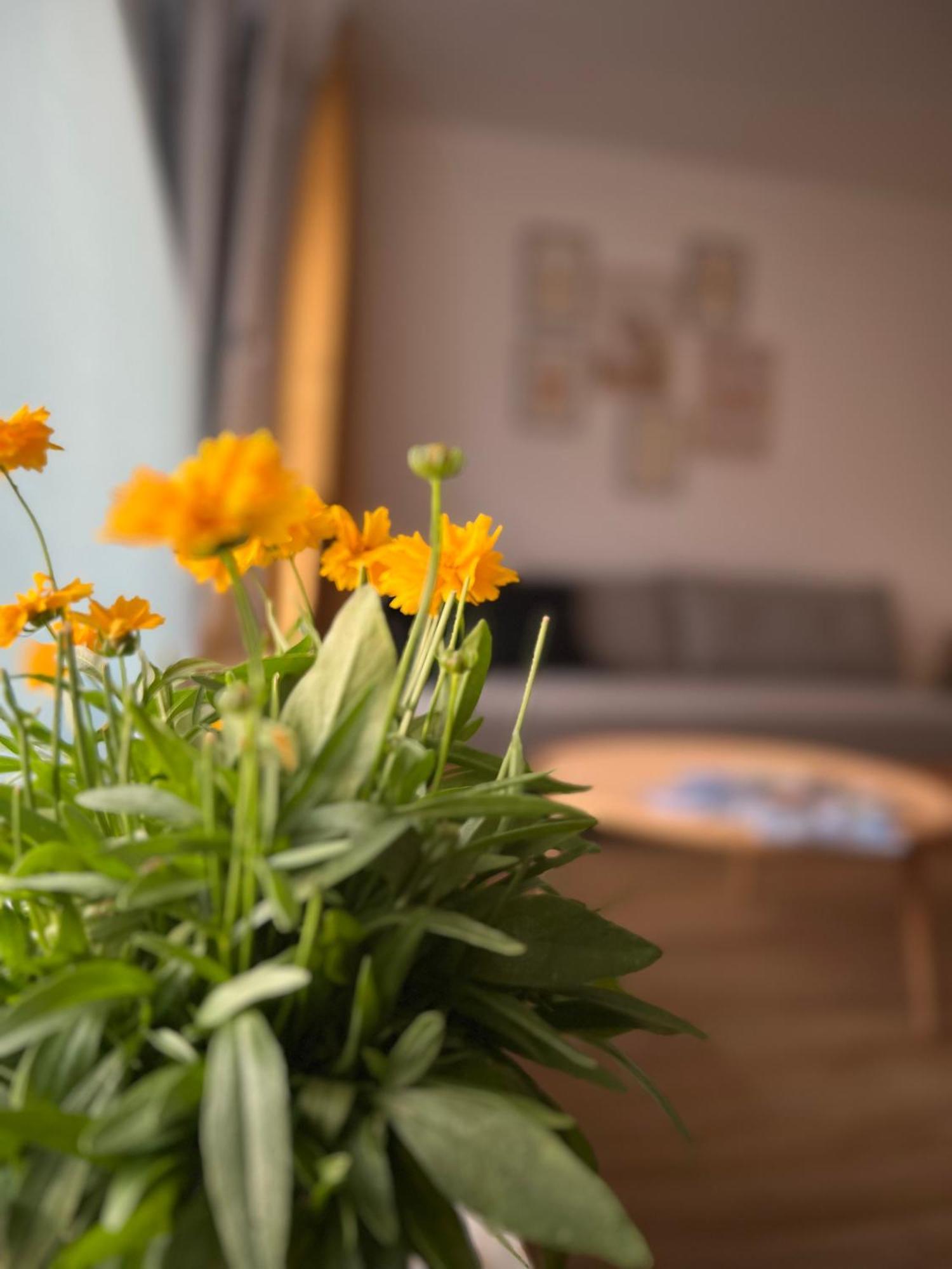 Ferienwohnung Sonneck 오버스타우펜 외부 사진